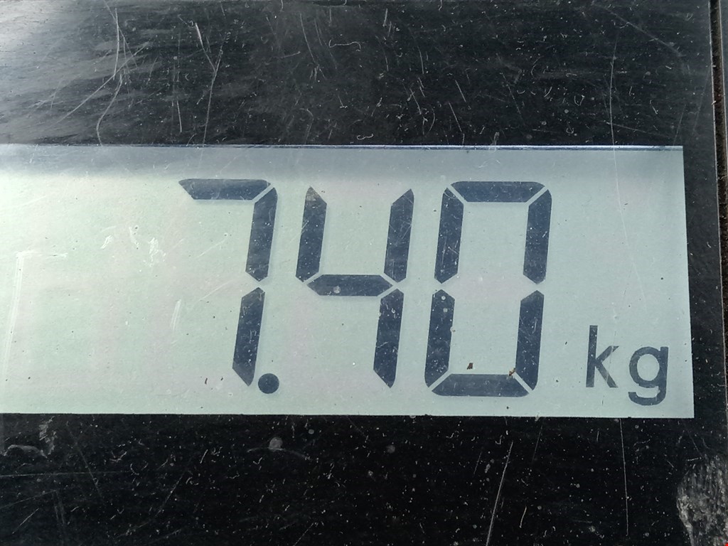 Амортизатор передний правый VOLKSWAGEN Passat B5 1997-2005