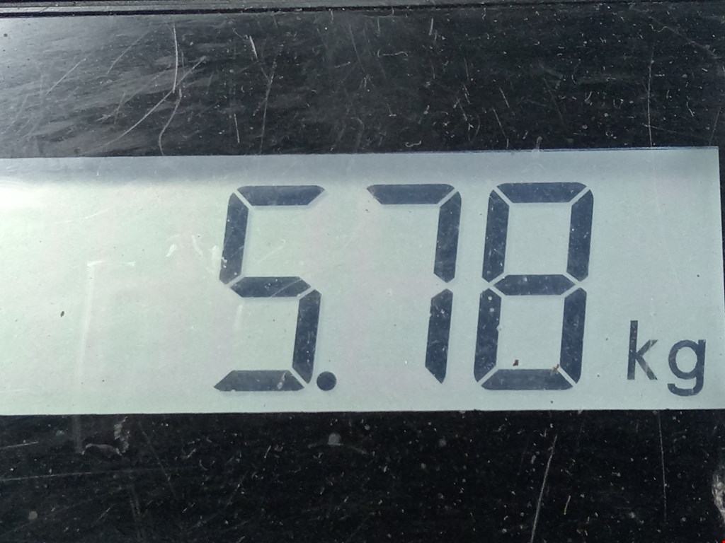 Амортизатор передний левый VOLKSWAGEN Passat B5 1997-2005