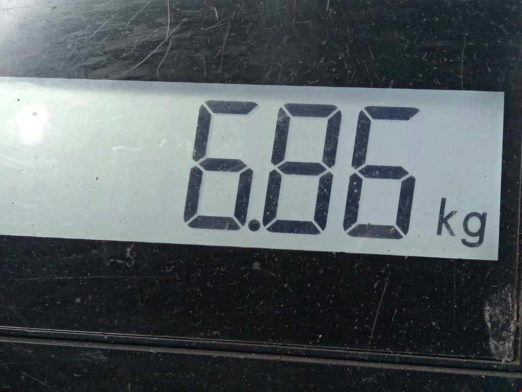 Амортизатор передний правый RENAULT Megane II 2002-2009