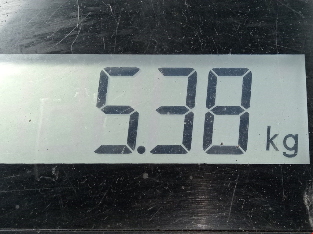 Пружина задняя левая/правая AUDI A4 B6 2001-2005