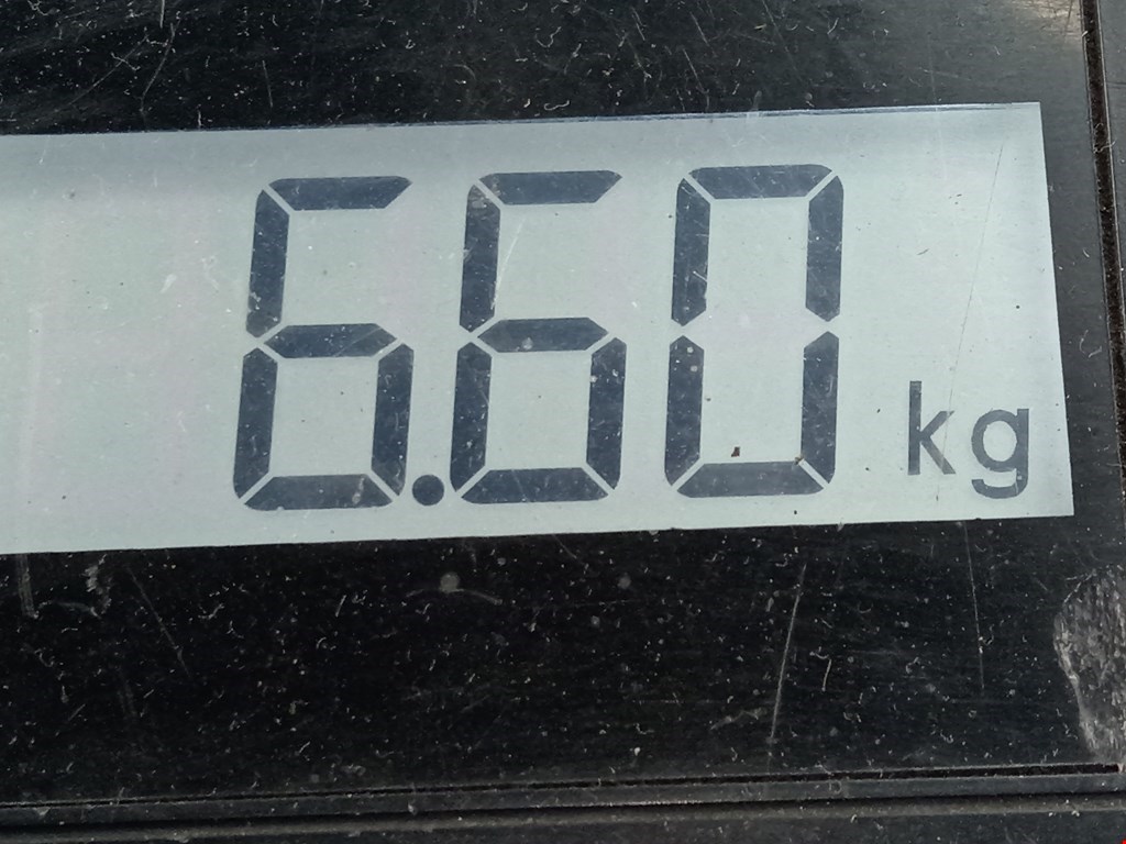 Амортизатор передний левый VOLKSWAGEN Passat B5 1997-2005