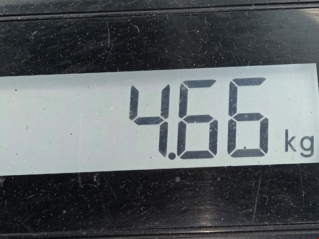 Амортизатор задний правый MITSUBISHI Carisma 1995-1999