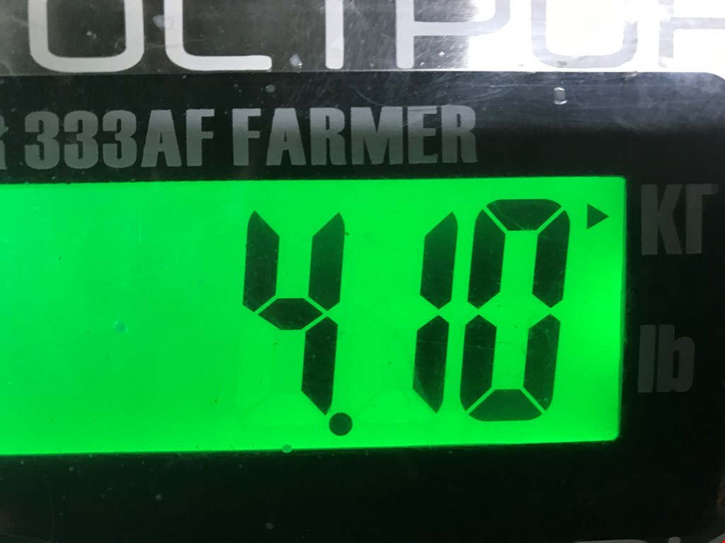 Коллектор впускной MERCEDES-BENZ C-Class C-klasse W203 2000-2007