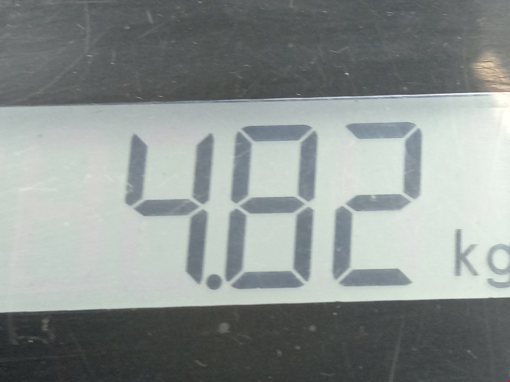 Суппорт передний левый AUDI A4 B6 2001-2005