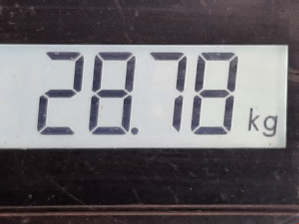 Фаркоп (прицепное устройство) CITROEN Jumper 244 2002-2006