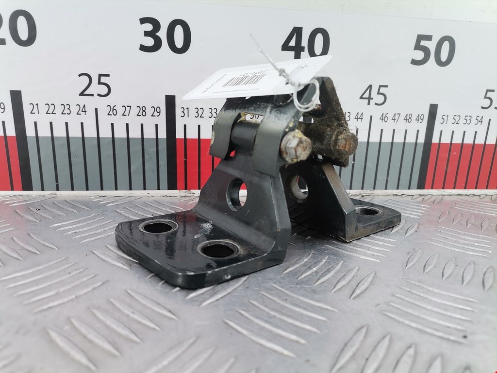 Петля двери задней левой BMW X3 (E83) (2003-2010)