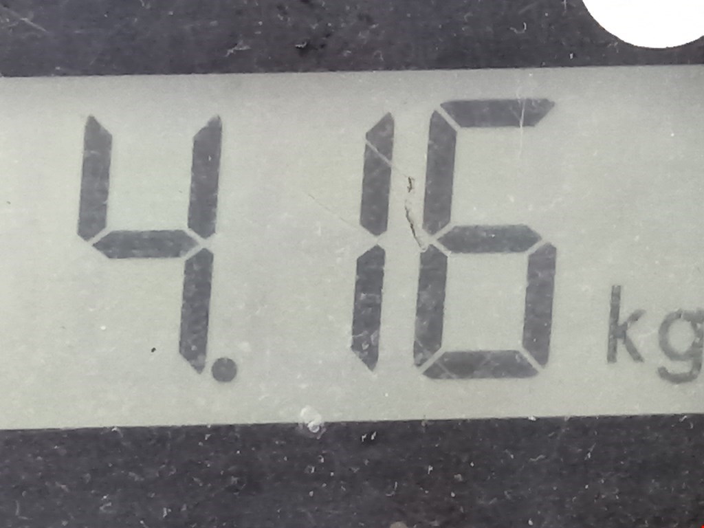 Стекло кузовное глухое левое LANCIA Phedra 2002-2010