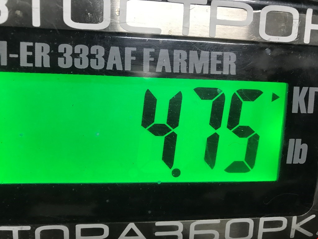 Коллектор впускной AUDI A4 B6 2001-2005