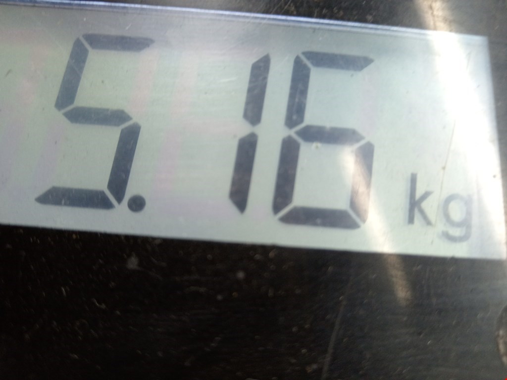 Амортизатор задний правый HONDA CR-V II 2002-2007