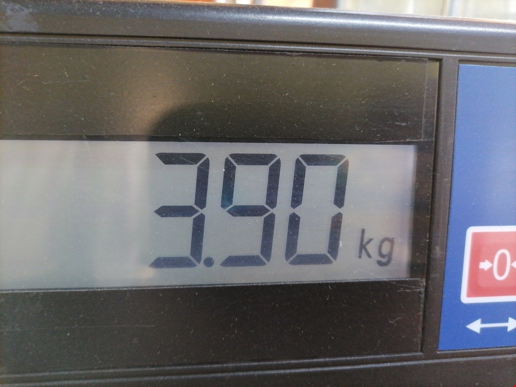 Усилитель переднего бампера (передний) AUDI A3 8L 1996-2003