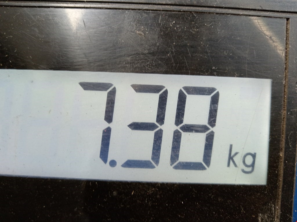 Амортизатор передний левый FORD Focus II 2005-2011