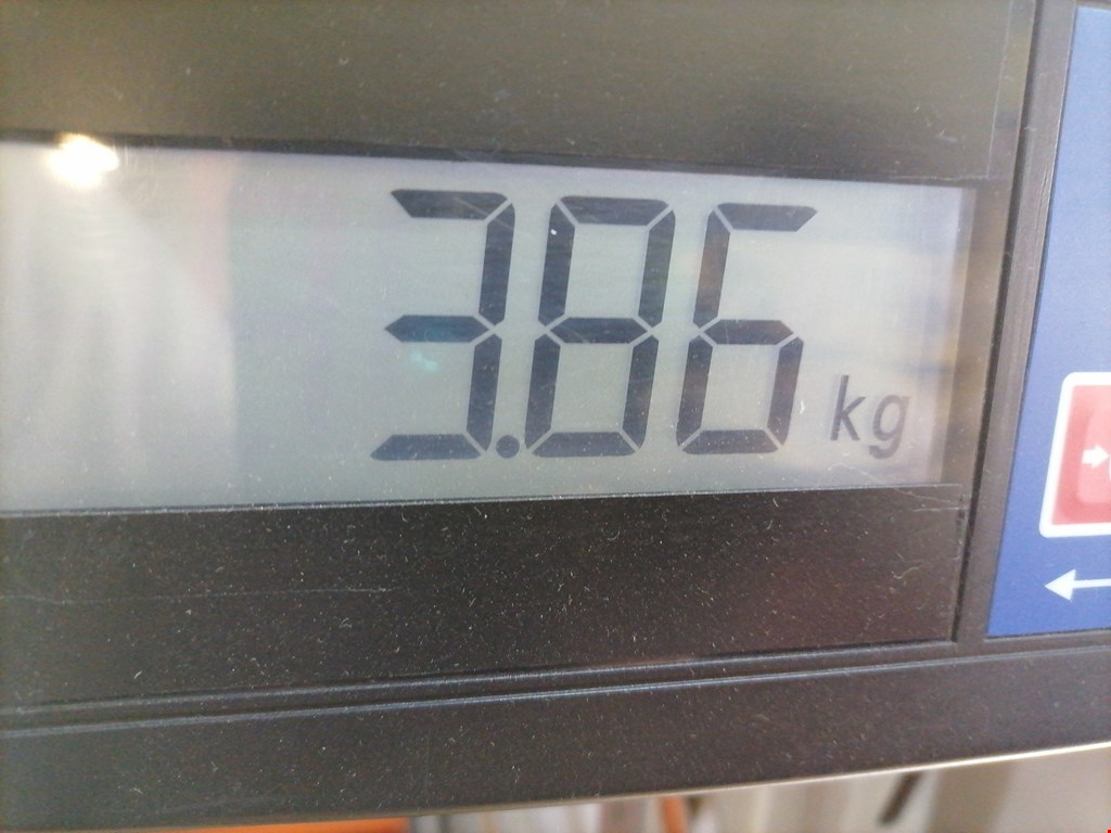 Усилитель переднего бампера (передний) AUDI A3 8L 1996-2003