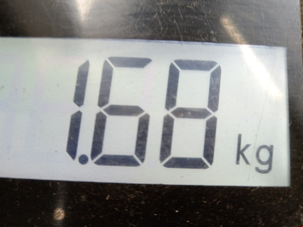 Амортизатор задний левый IVECO Daily III 1999-2006