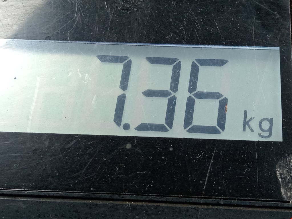 Амортизатор передний левый FORD C-MAX 2003-2010