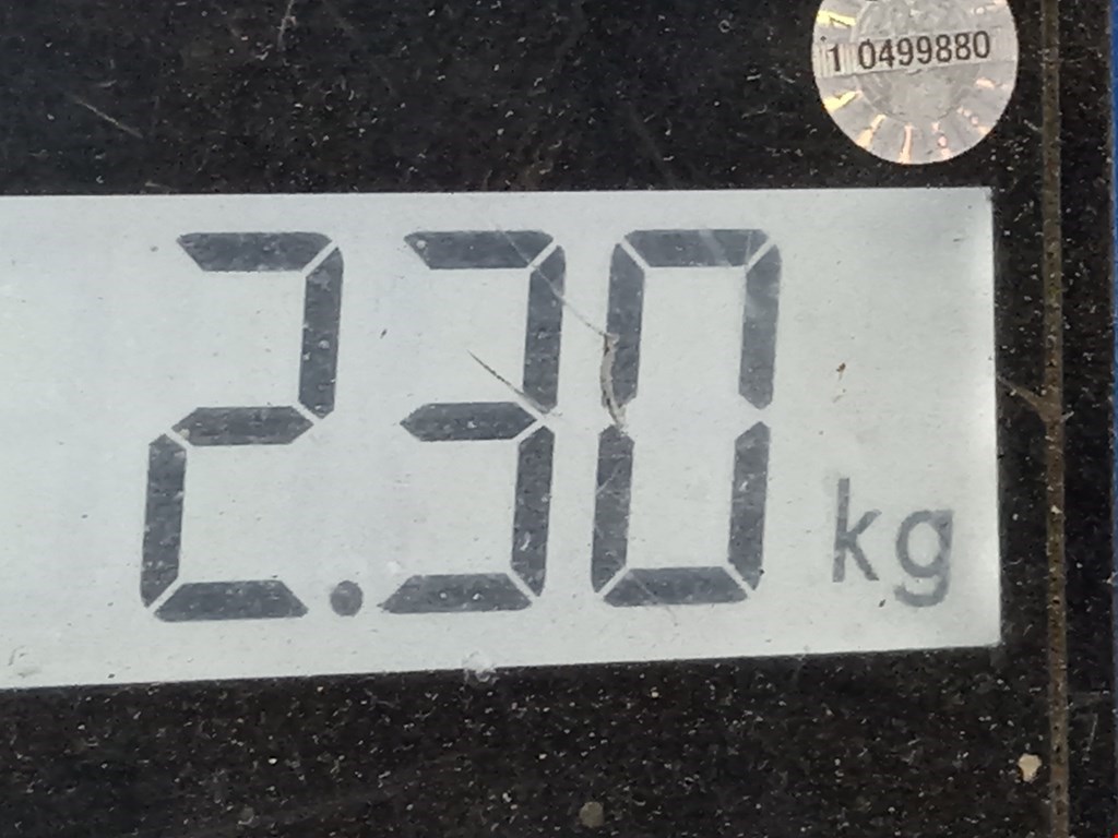 Защита картера (двигателя) FORD Focus II 2005-2011