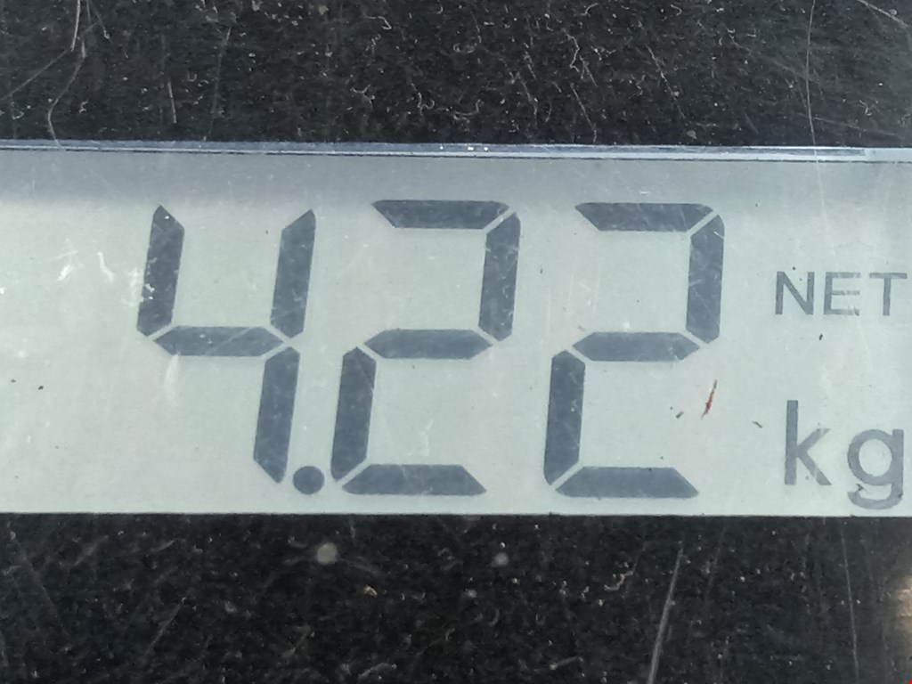 Пружина задняя левая/правая FIAT Sedici 2005-2014