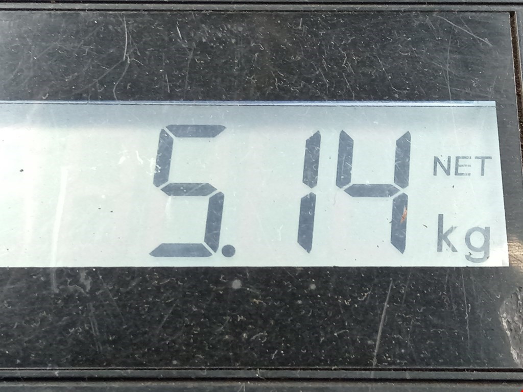 Пружина задняя левая/правая MERCEDES-BENZ C-Class C-klasse W204 2007-2015