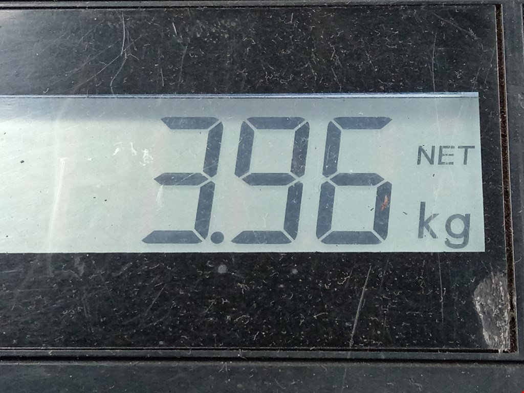 Пружина задняя левая/правая OPEL Astra H/Family 2004-2015