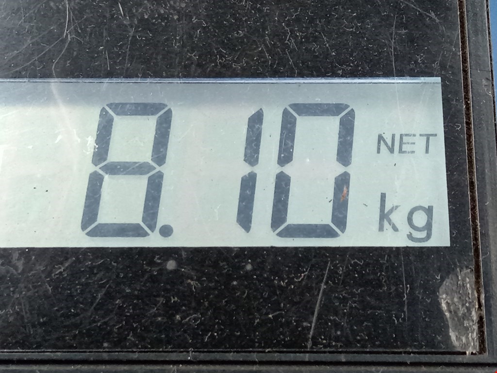 Амортизатор передний левый MERCEDES-BENZ C-Class C-klasse W204 2007-2015