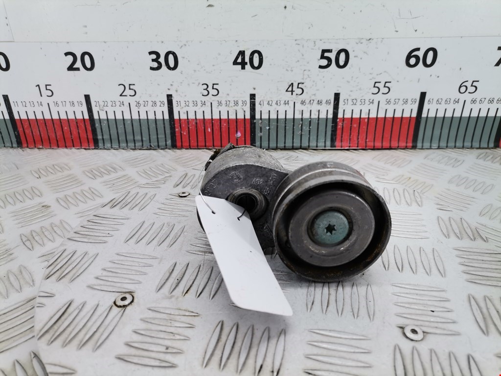 Натяжитель ремня генератора (приводного поликлинового ремня Renault Laguna 2 (2000-2007)