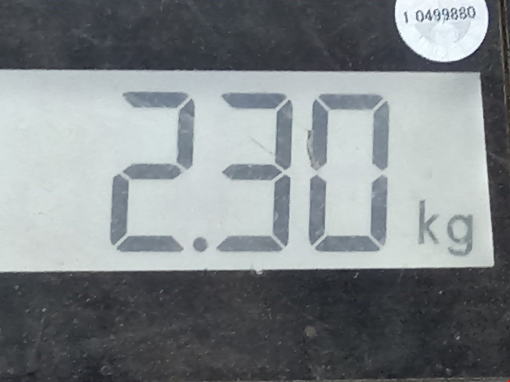 Спойлер FORD Focus II 2005-2011