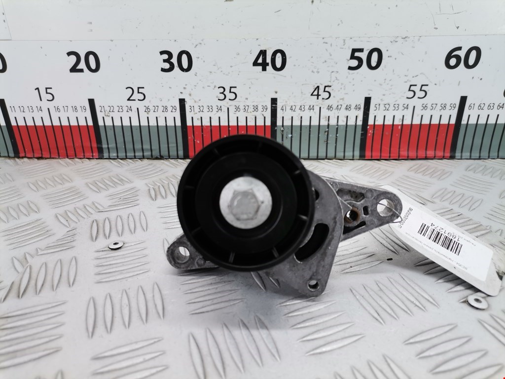 Натяжитель ремня генератора (приводного поликлинового ремня Peugeot 206 (1998-2006)