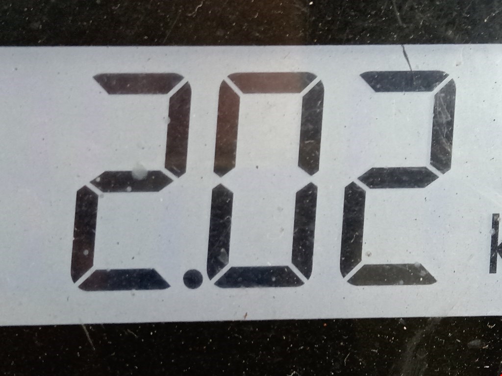 Амортизатор задний правый SSANG YONG Rodius 2004-2013