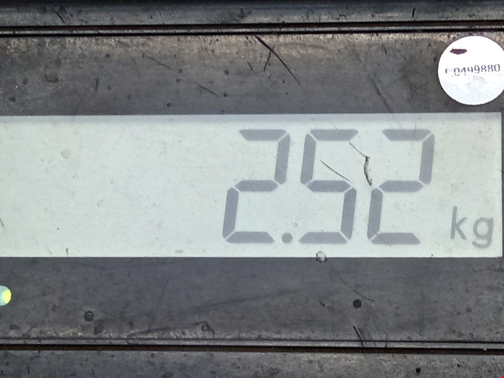 Защита картера (двигателя) FORD Focus II 2005-2011