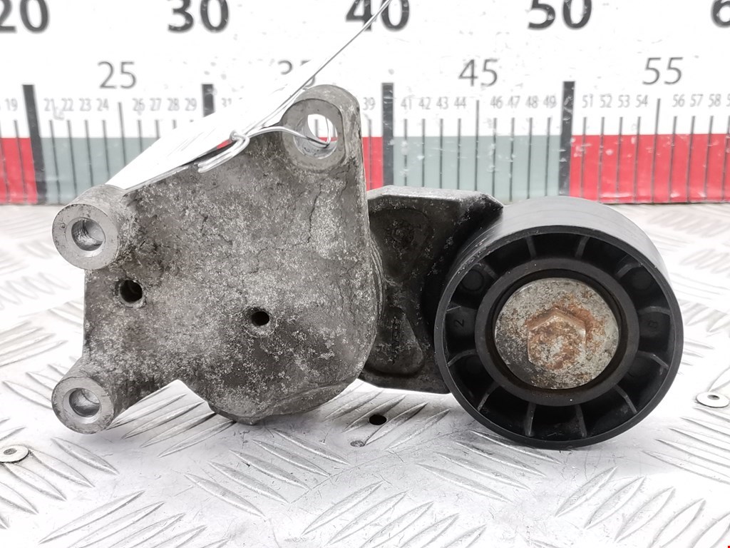 Натяжитель ремня генератора (приводного поликлинового ремня Ford Fusion (2002-2012)