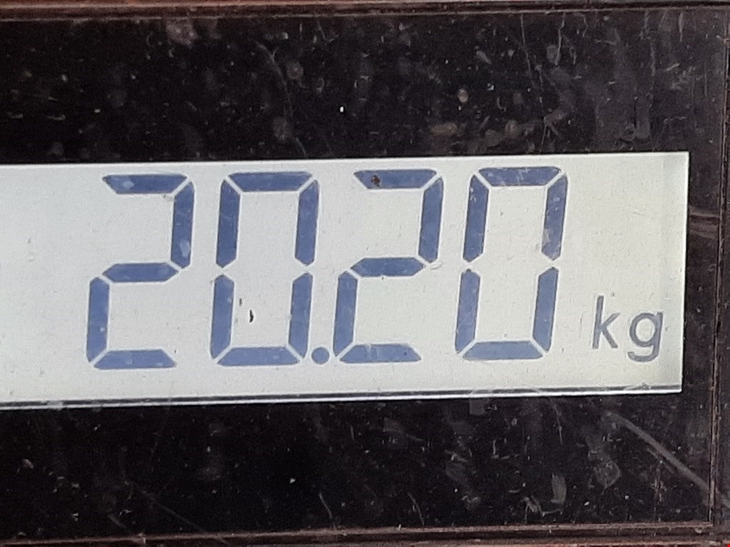 Фаркоп (прицепное устройство) FORD Transit 2000-2006