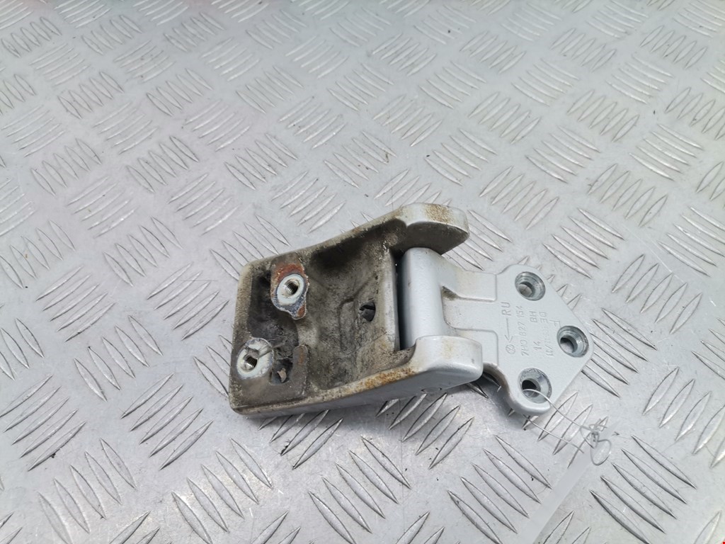 Петля двери распашной Volkswagen Transporter (T5) (2003-2015)