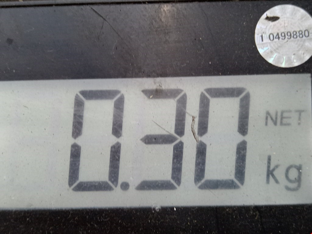 Плафон салонный (салона фонарь) RENAULT Captur II 2019-н.в.