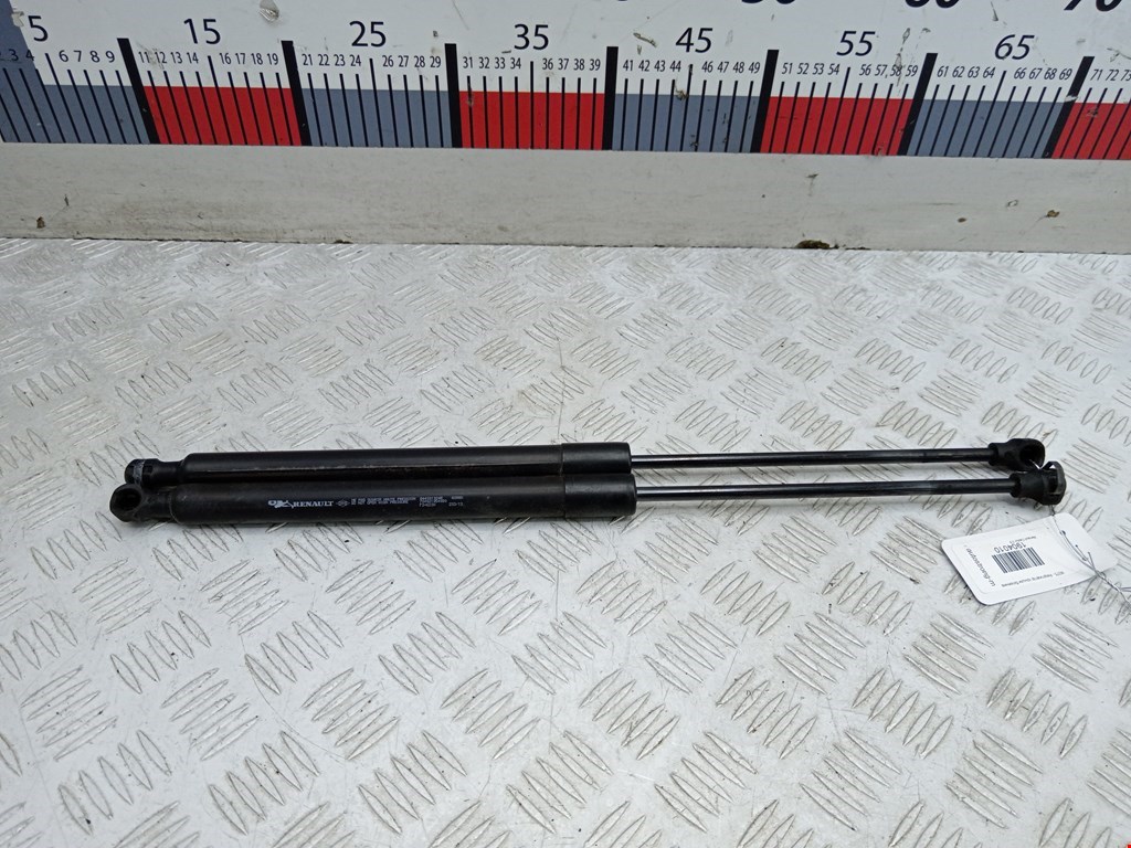 Амортизатор крышки (двери) багажника RENAULT Captur II 2019-н.в.