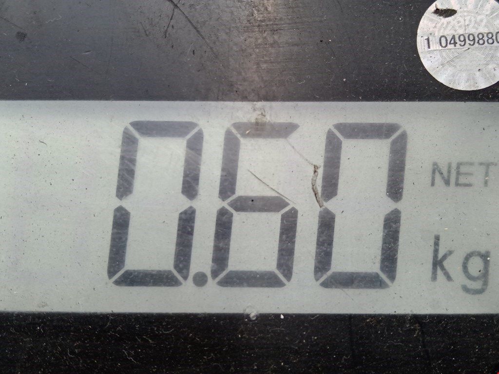 Амортизатор крышки (двери) багажника RENAULT Captur II 2019-н.в.