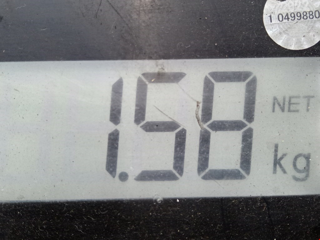 Уплотнитель (наружный) RENAULT Captur II 2019-н.в.