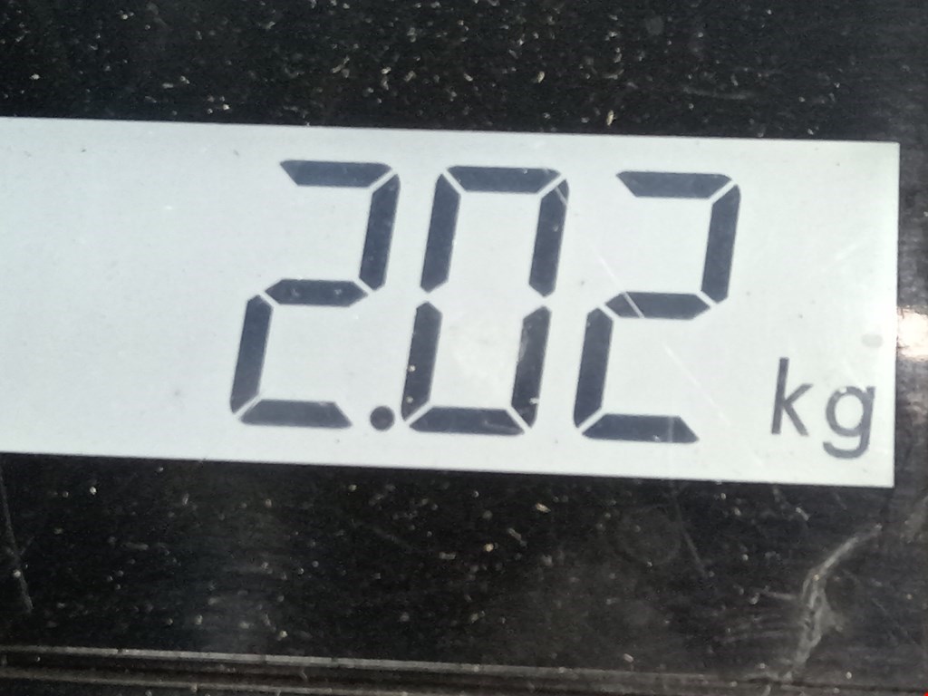 Амортизатор задний правый RENAULT Captur II 2019-н.в.