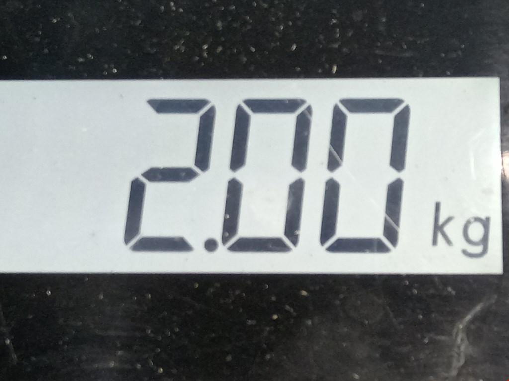 Амортизатор задний левый RENAULT Captur II 2019-н.в.