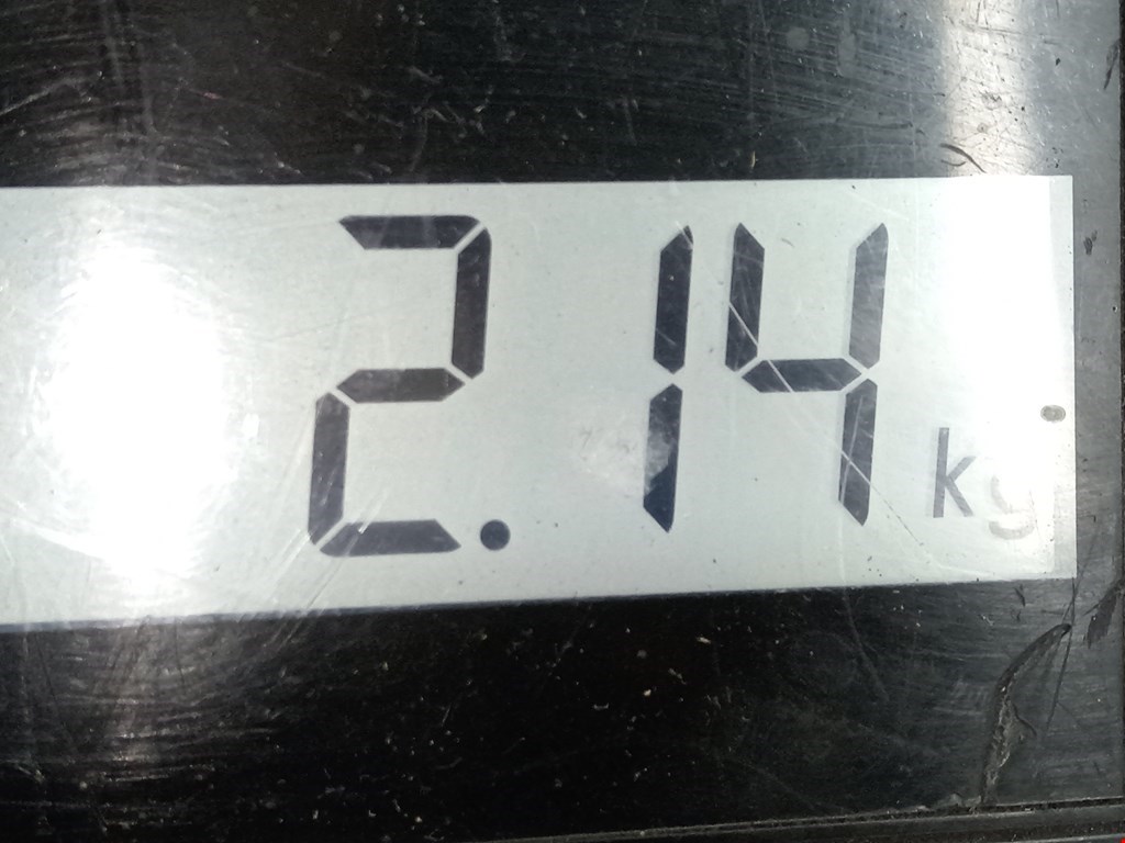 Амортизатор задний левый VOLKSWAGEN Passat B6 2005-2011