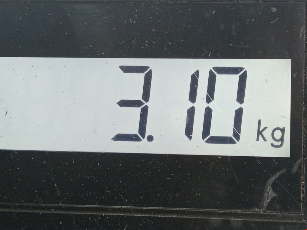 Амортизатор задний левый HONDA CR-V III 2007-2012