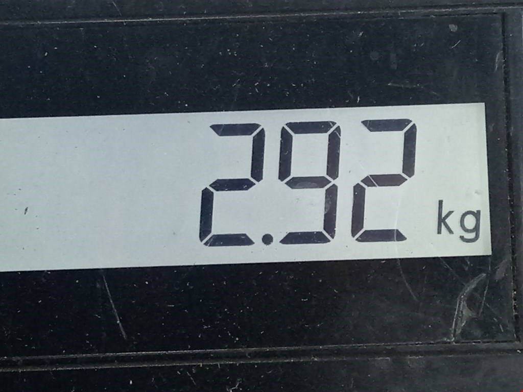 Пружина задняя левая/правая FORD KA 2009-2016