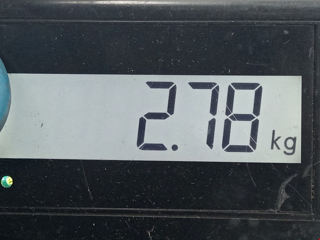 Рычаг передний правый RENAULT Captur II 2019-н.в.