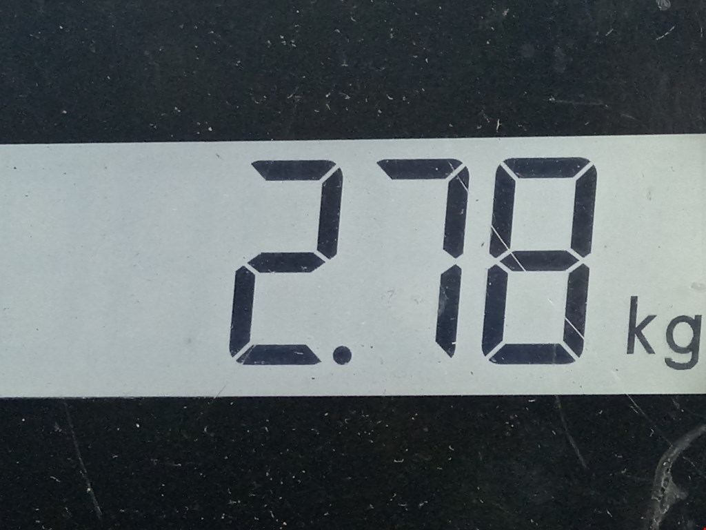 Рычаг передний левый RENAULT Captur II 2019-н.в.