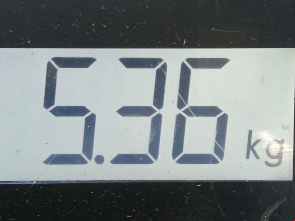 Стабилизатор передний (поперечной устойчивости подвески) RENAULT Captur II 2019-н.в.