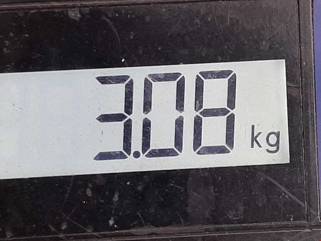 Стабилизатор передний (поперечной устойчивости подвески) VOLKSWAGEN Scirocco III 2008-2017