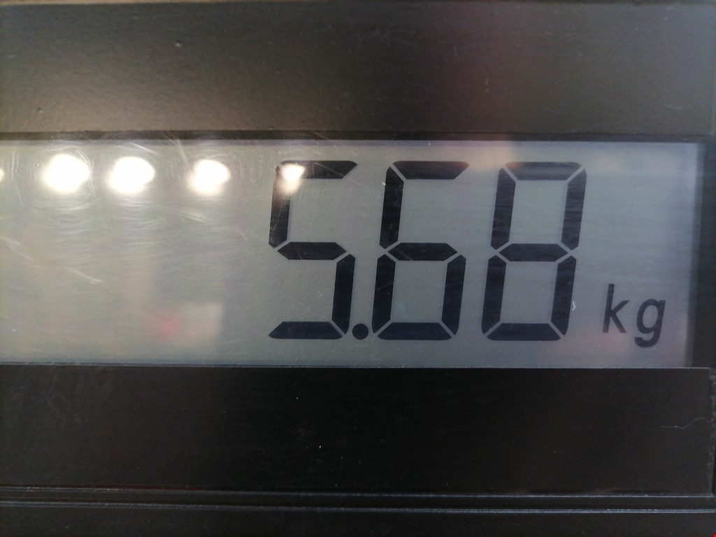 Усилитель переднего бампера (передний) VOLKSWAGEN Golf IV 1997-2003