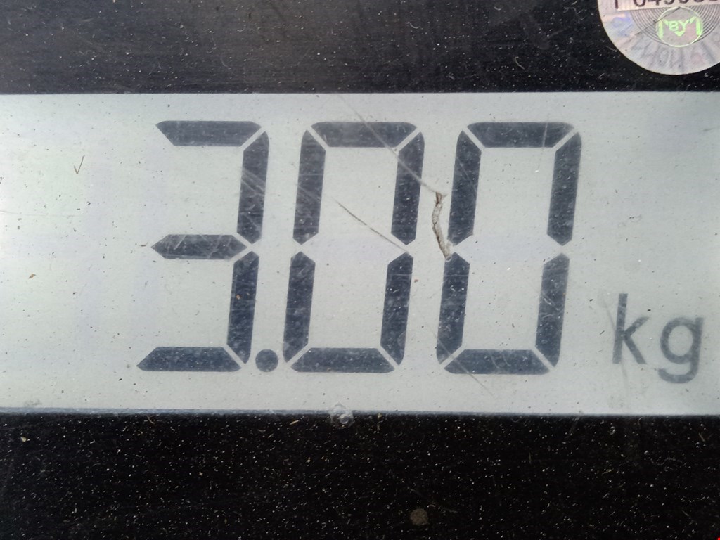 Стабилизатор передний (поперечной устойчивости подвески) SKODA Octavia A5 1Z- 2004-2013