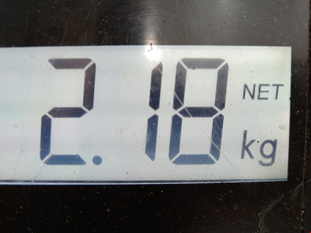 Амортизатор задний правый CHEVROLET Cruze 2009-2015