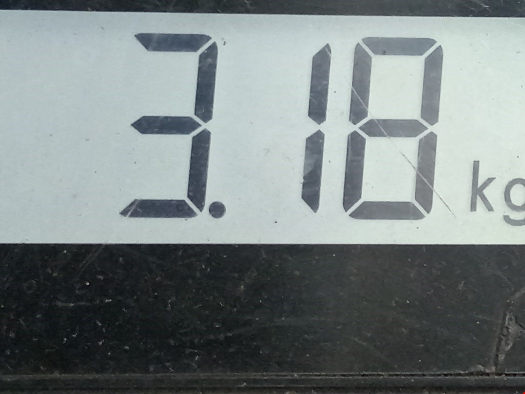 Стартер FORD KA 2009-2016