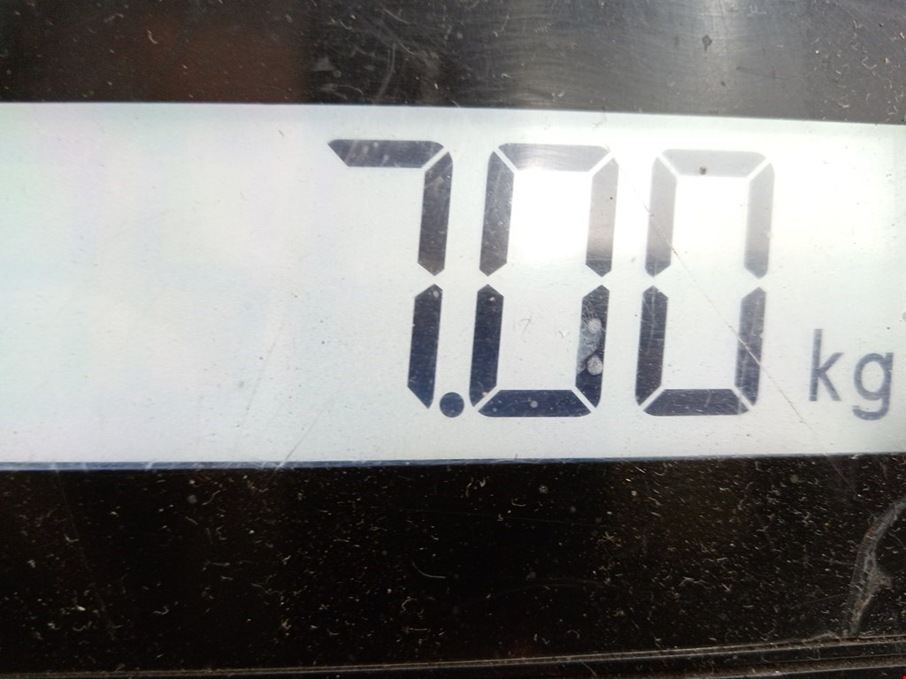 Диск тормозной задний RENAULT Scenic II 2003-2010