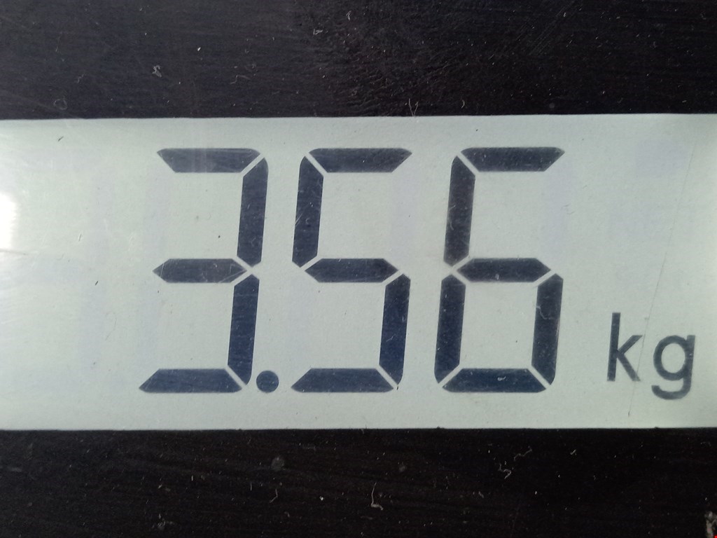 Стабилизатор задний (поперечной устойчивости подвески) LEXUS RX 350\450H 2009-2015